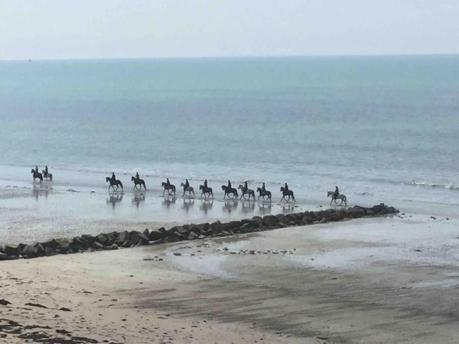 Les Iles Vue Sur Mer Егон-Кутанвил Екстериор снимка